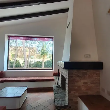 Damusel *