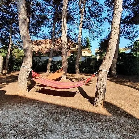 Damusel Marsala